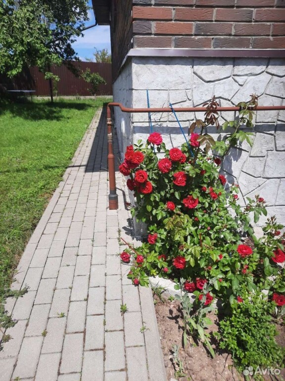 Фотография Коттеджа Частный дом Отдых в пригороде Калининграда