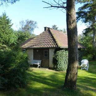 Фотографии гостевого дома
Der kleine Prinz