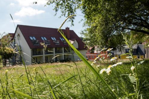 Фотография гостиницы Landhotel Kräuterberg’l Kreischa