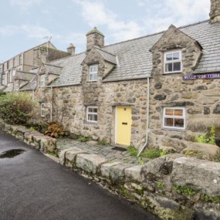 Фотография гостевого дома Glanrafon