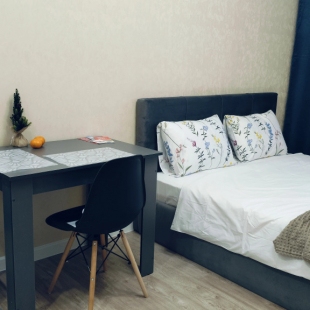 Фотография квартиры Квартира Уютная студия на Пановой