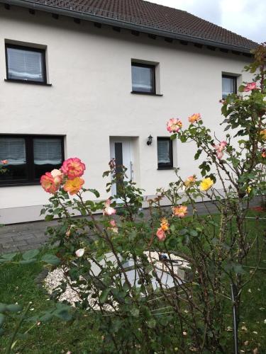 Фотография гостевого дома Zum Rosenhügel