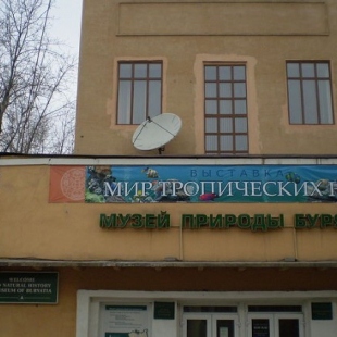 Фотография музея Музей природы Бурятии