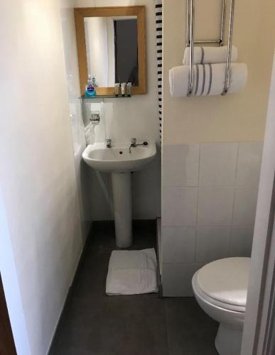 Фотография гостиницы dalesman hotel