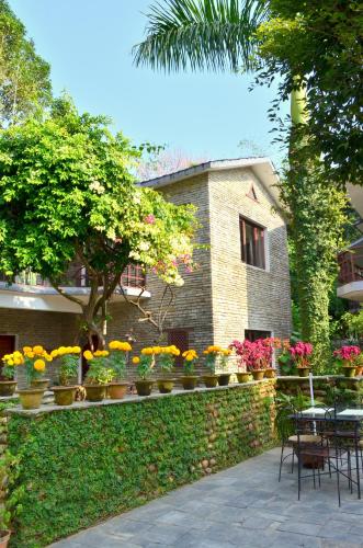 Фотография мини отеля Mum's Garden Resort