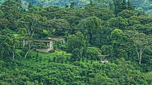 Фотография мини отеля The Guest Suites at Manana Madera