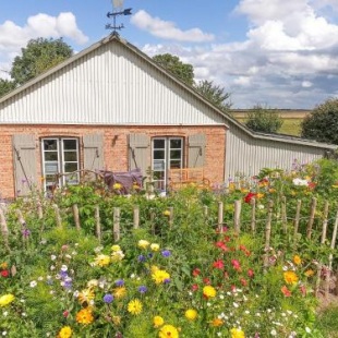 Фотография гостевого дома De ole Schaapstall