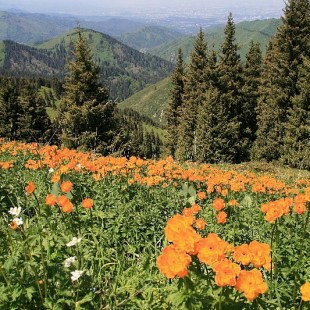 Фотография достопримечательности Иле-Алатауский государственный национальный парк