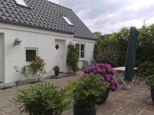 Фотография гостевого дома Helts B&B - Helts Guesthouse