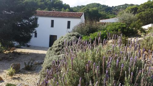 Фотография гостевого дома Finca Las Morenas