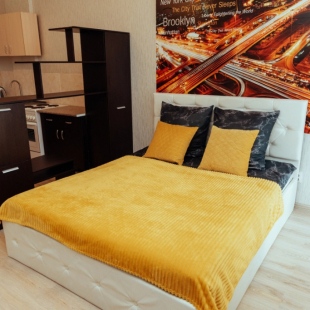 Фотография квартиры Апартаменты на Революции 48а