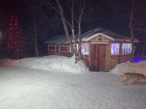 Фотография гостевого дома Северные просторы