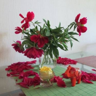 Фотография хостела Мансарда в центре города