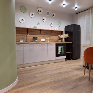 Фотография квартиры Апартаменты Эко-Лофт ТЛТ