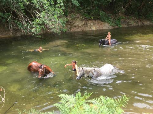 Фотография базы отдыха Chjassi Di Livesi