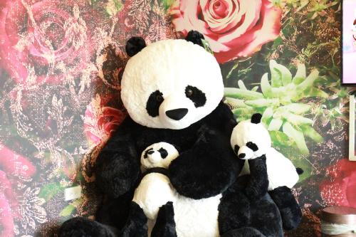 Фотография мини отеля Pretty Flowers Homestay