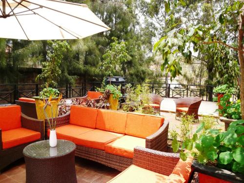 Фотография мини отеля Maison Mitwaba