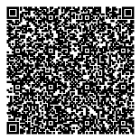 QR код музея Музей русского лубка и наивного искусства