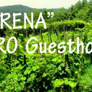 Фотография гостевого дома Agro Guesthouse Korena