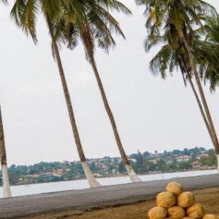 Фотография гостевого дома Paradise Agua Leve Residential