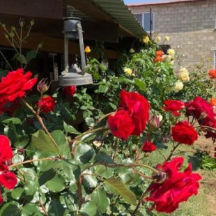 Фотография гостевого дома Солнце