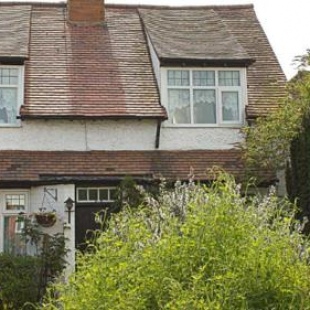 Фотография мини отеля Moss Cottage