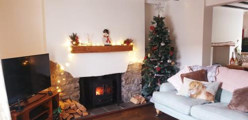 Фотография гостевого дома Attenborough Cottage - 2 Bedroom Cottage