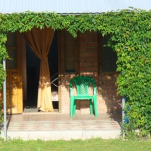 Фотография мини отеля №1 четырех местный