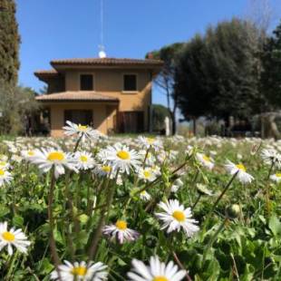 Фотографии мини отеля 
            Jenny's Country Dreamhouse B&B