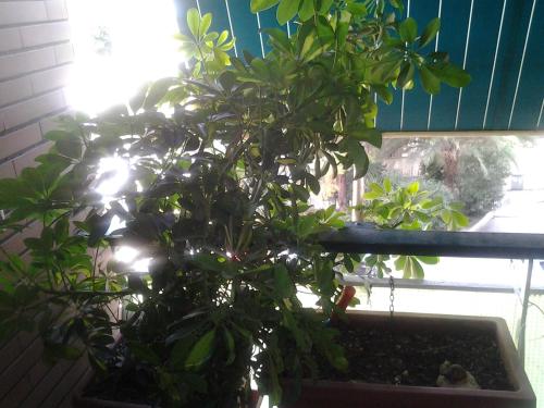 Фотография гостевого дома Olimpica Relais