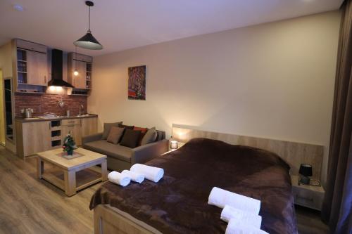 Фотографии гостиницы 
            Aparthotel in Bakuriani "The Valley"