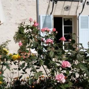 Фотографии мини отеля
Chambre d'hôte Montlivault / Chambord