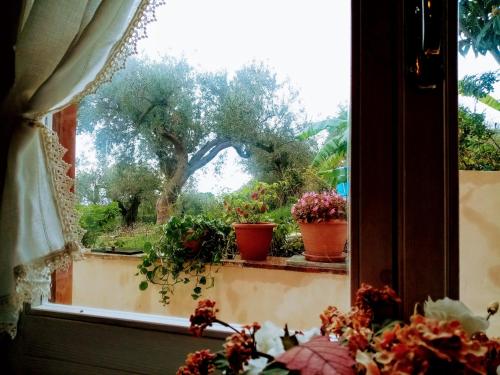 Фотография гостевого дома Villa Calcasacco