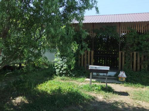 Фотографии гостевого дома
Актиния