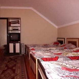 Фотография гостиницы Hotel Umud