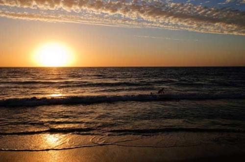 Фотография мотеля Ocean View Motel