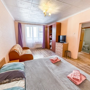 Фотография квартиры Апартаменты Уютная квартира возле Шереметьево