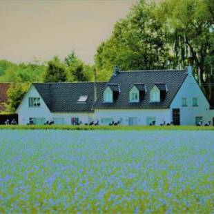 Фотографии мини отеля
B&B Maison Kerkhove