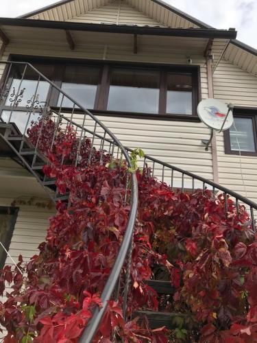 Фотография гостевого дома Белый Аист