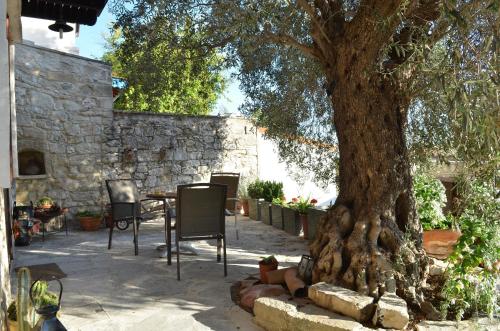 Фотография гостевого дома Vouni Lodge