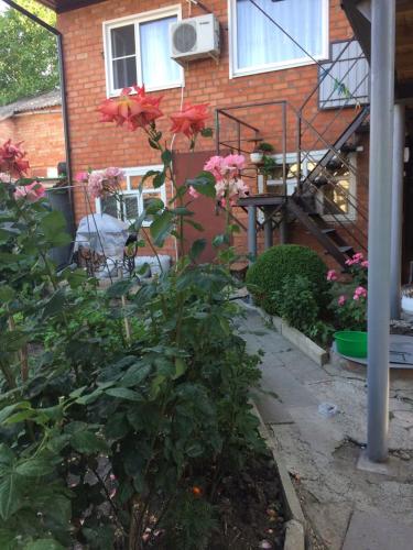 Фотография гостевого дома Бережок