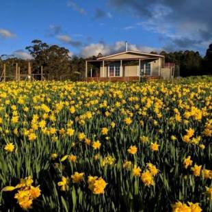 Фотографии гостевого дома
Mountain Blue Guest House