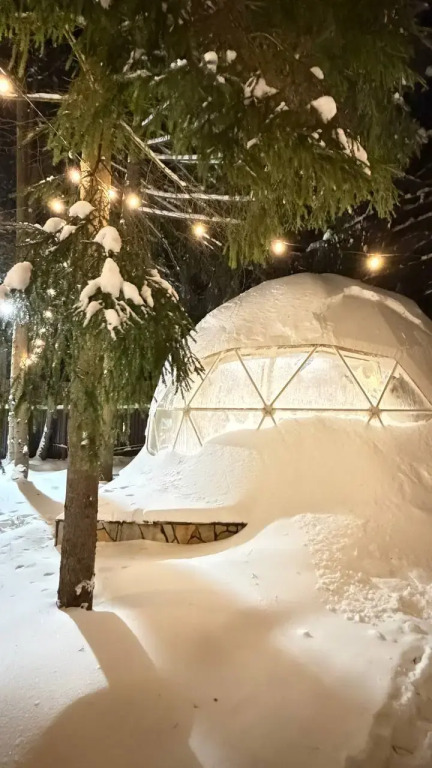 Фотография Коттеджа Частный дом Купольный дом в сосновом лесу