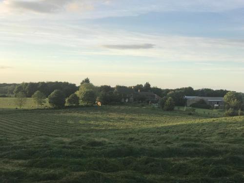 Фотография гостевого дома Hookcar Hill Cottage