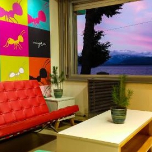 Фотография хостела Hostel Hormiga Negra