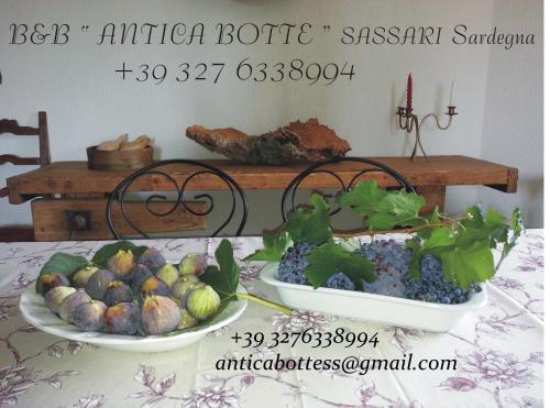 Фотография мини отеля B&B Antica Botte Sassari