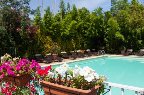 Фотография гостиницы Logis NIMOTEL Hôtel Cosy