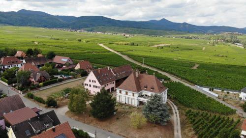 Фотография гостевого дома gîtes au domaine Greiner