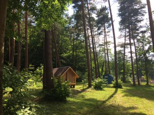 Фотография кемпинга Camping Osenbach
