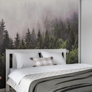 Фотография квартиры Квартира Золото Сибири